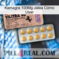 Kamagra 100Mg Jalea Cómo Usar 41